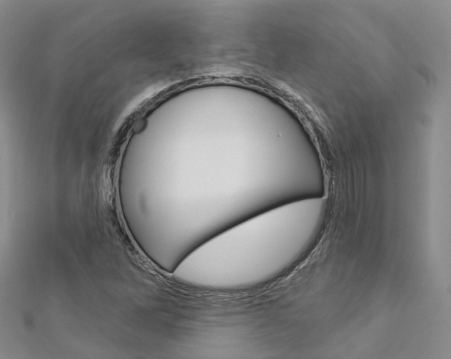 X0000112821262200908210952