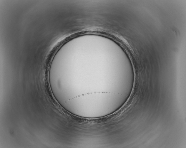X0000112821263200908210952
