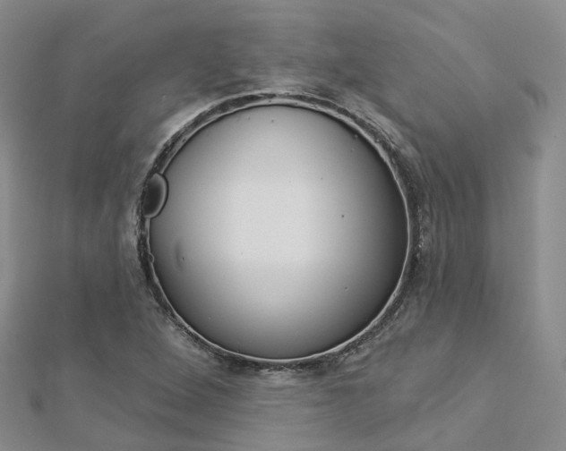 X0000112821264200908210952