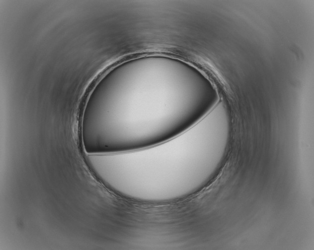X0000112821268200908210952
