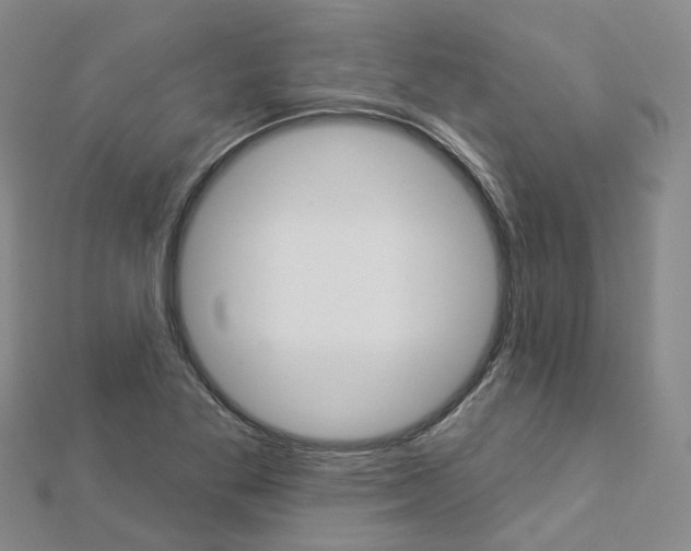 X0000112821269200908210952