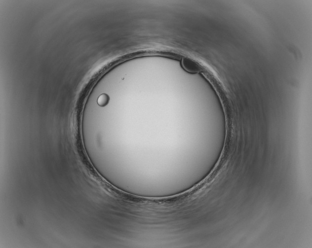 X0000112821270200908210952
