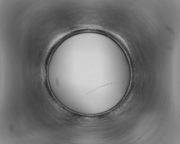 X0000112821271200908210952