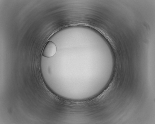 X0000112821273200908210952