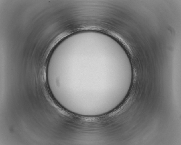 X0000112821274200908210952