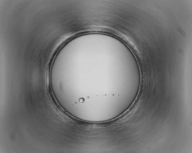 X0000112821275200908210952