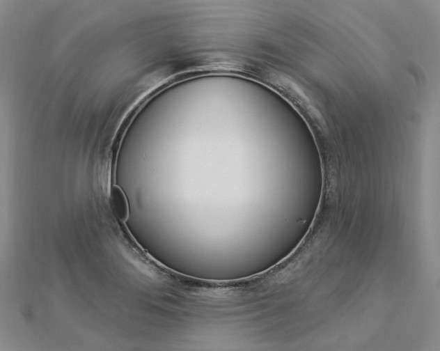 X0000112821276200908210952