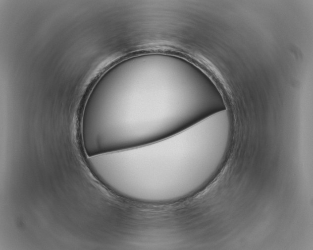 X0000112821277200908210952