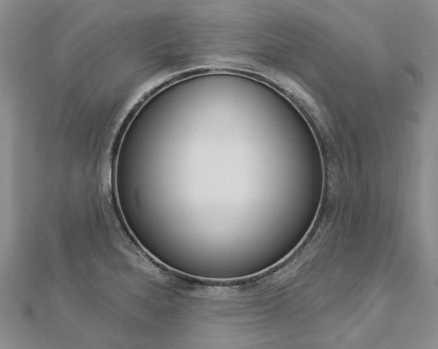 X0000112821280200908210952