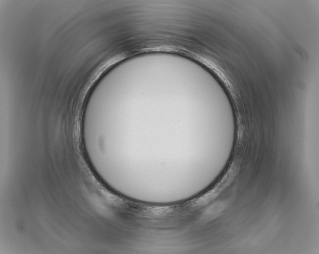 X0000112821282200908210952