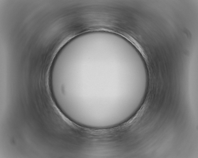 X0000112821285200908210952