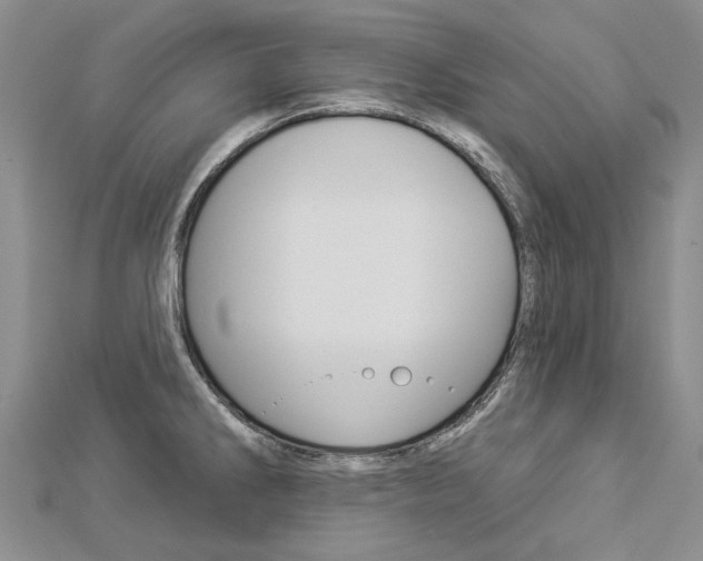 X0000112821286200908210952