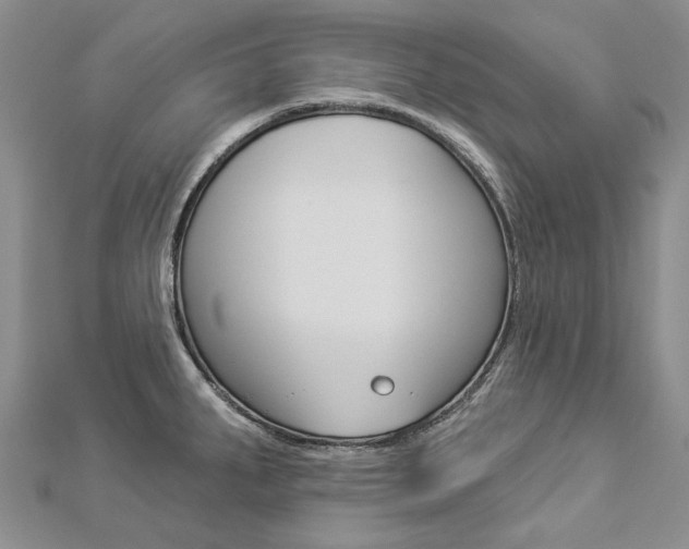 X0000112821287200908210952