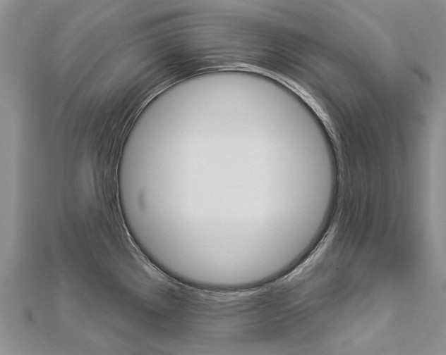 X0000112821289200908210952