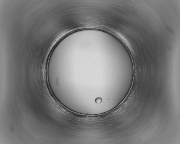X0000112821291200908210952