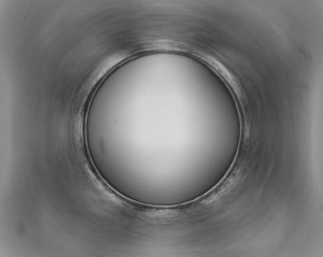 X0000112821293200908210952