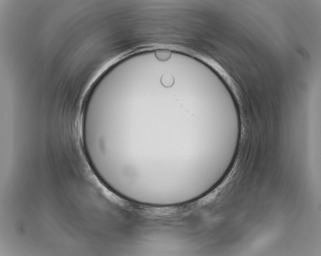 X0000112821294200908210952