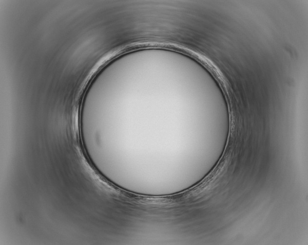 X0000112821295200908210952