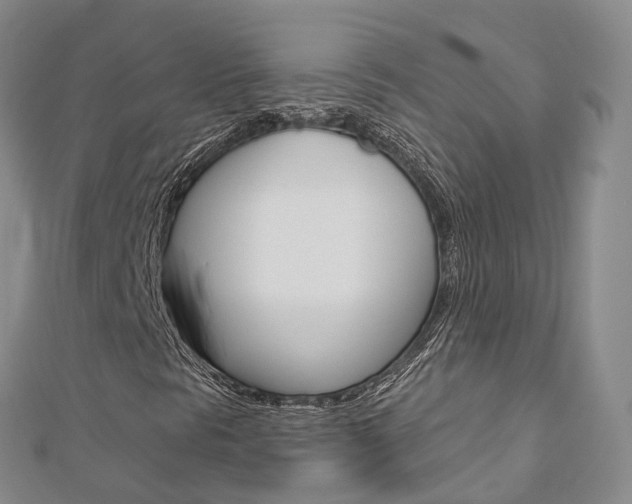 X0000112821297200908210951