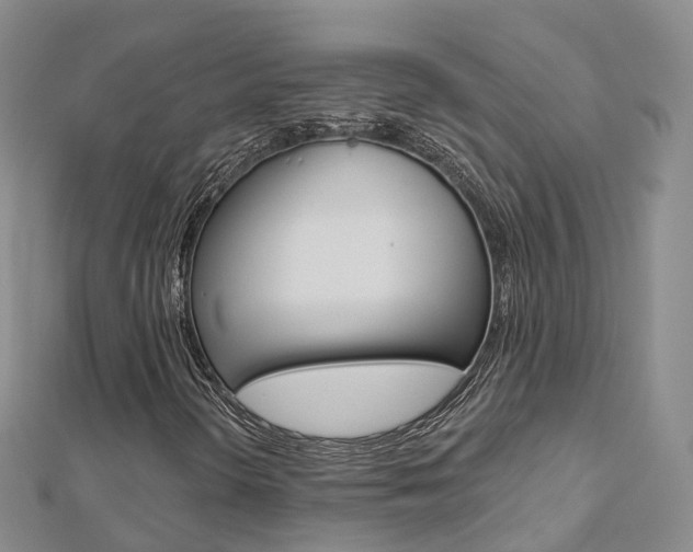 X0000112821298200908210951