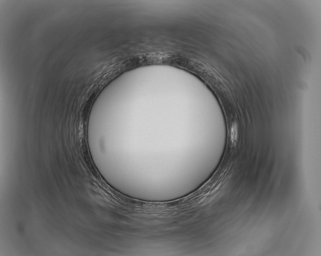 X0000112821299200908210951