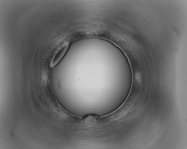 X0000112821300200908210951