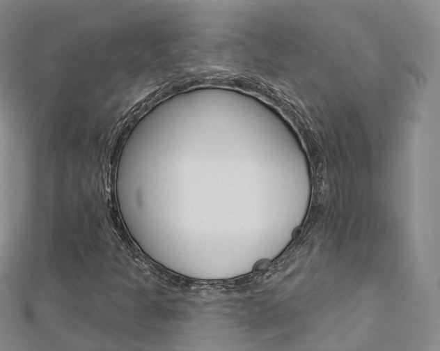 X0000112821301200908210951