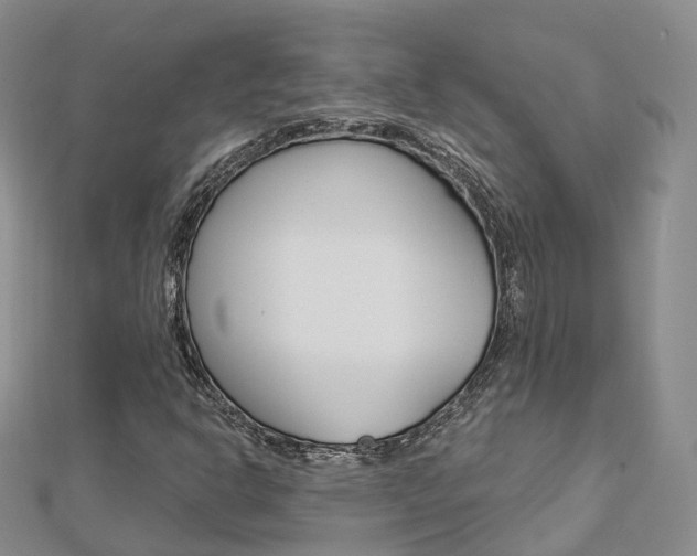 X0000112821302200908210951