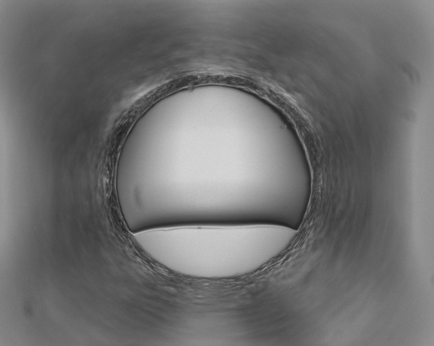 X0000112821303200908210951