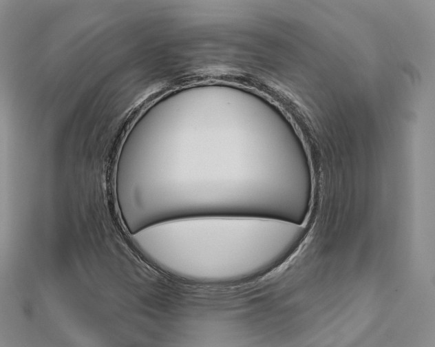 X0000112821305200908210951