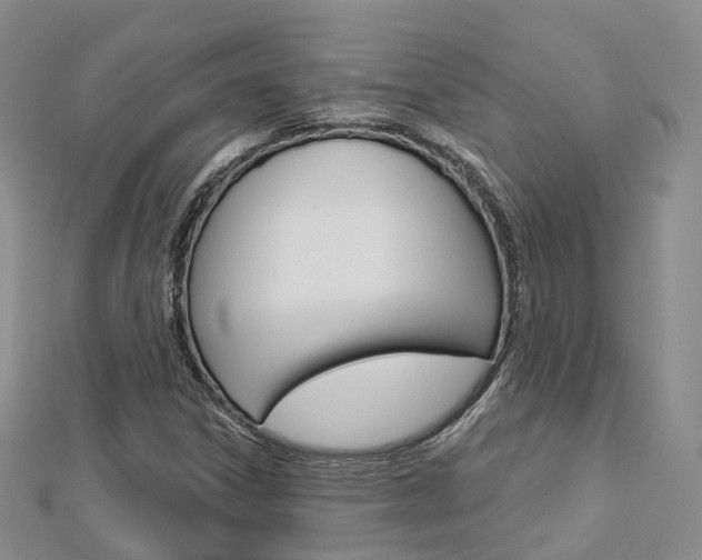 X0000112821306200908210951