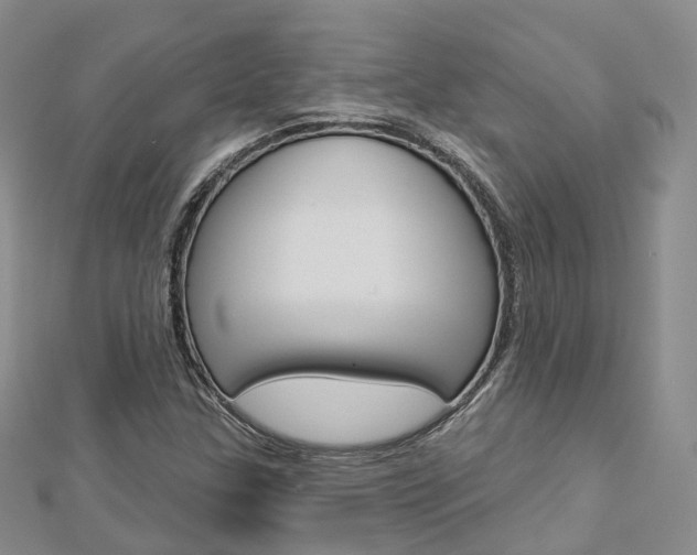 X0000112821307200908210951