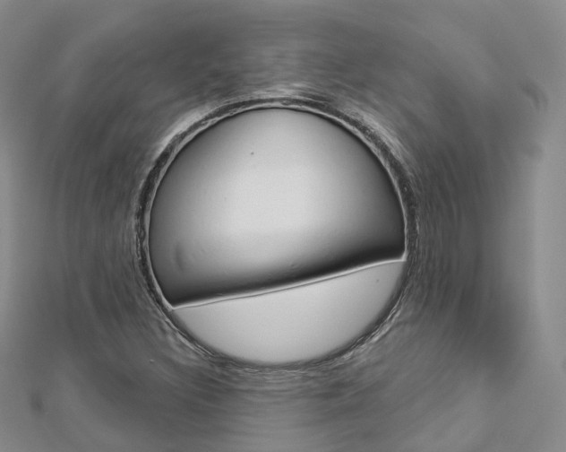 X0000112821308200908210951
