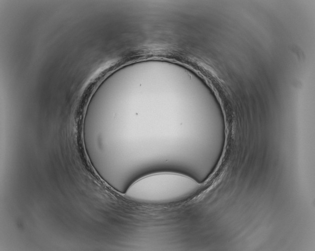 X0000112821309200908210951