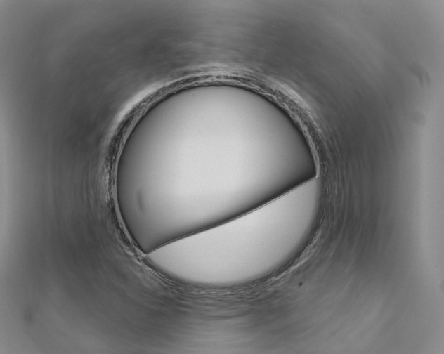 X0000112821310200908210951
