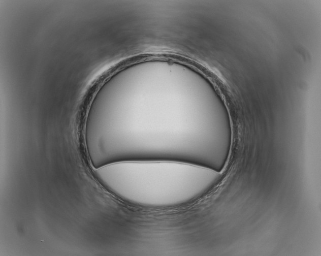 X0000112821311200908210951