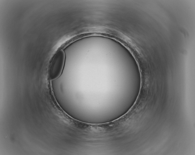 X0000112821312200908210951