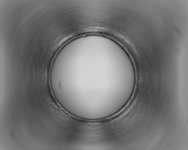 X0000112821313200908210952