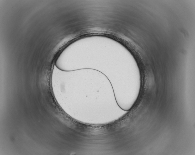 X0000112821314200908210952