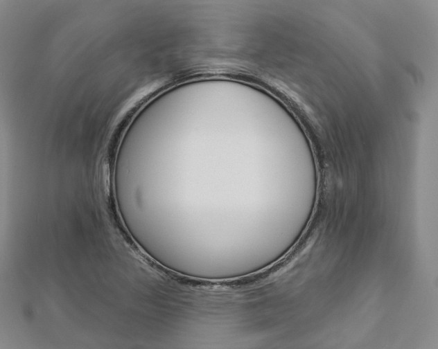 X0000112821317200908210952
