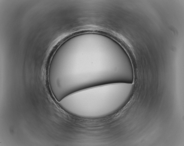 X0000112821318200908210952