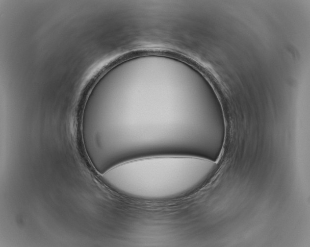 X0000112821319200908210952