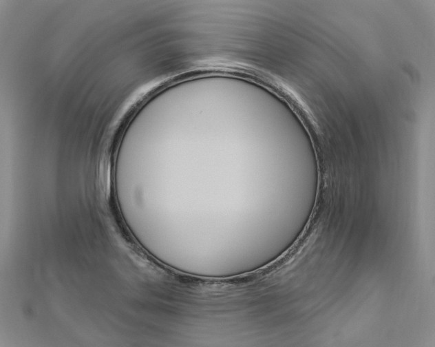 X0000112821323200908210952