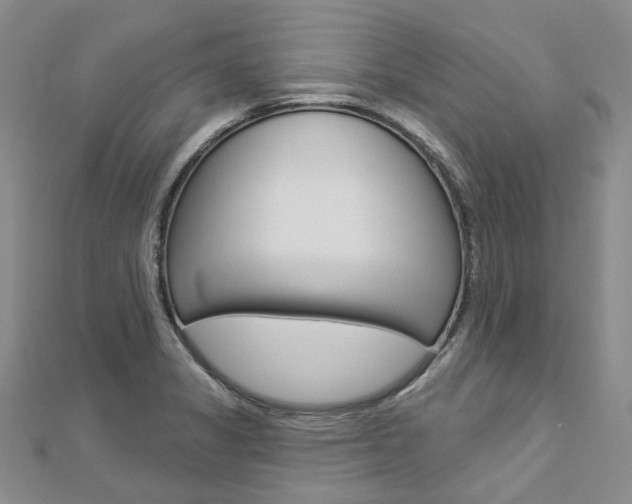 X0000112821325200908210952