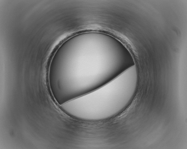 X0000112821326200908210952