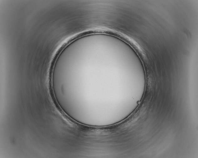 X0000112821327200908210952