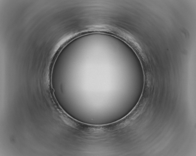 X0000112821328200908210952