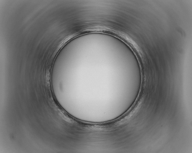 X0000112821329200908210952
