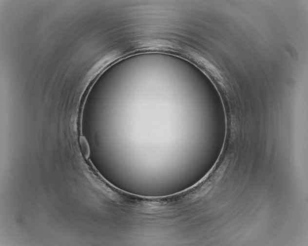 X0000112821330200908210952