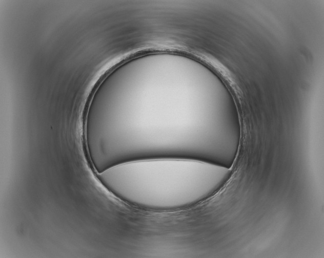 X0000112821335200908210952